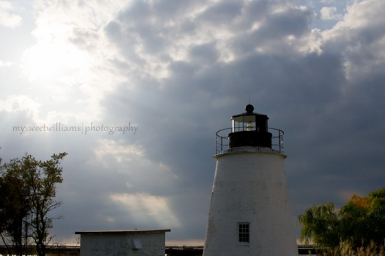 Rays of light at Piney Point