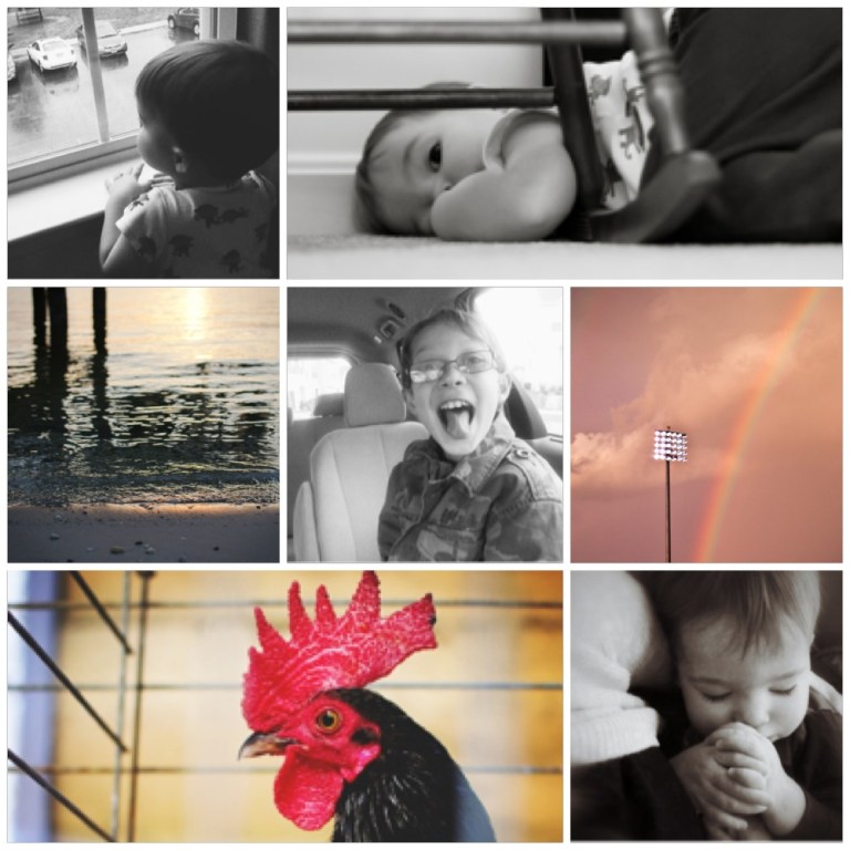 collage from week of March 3rd