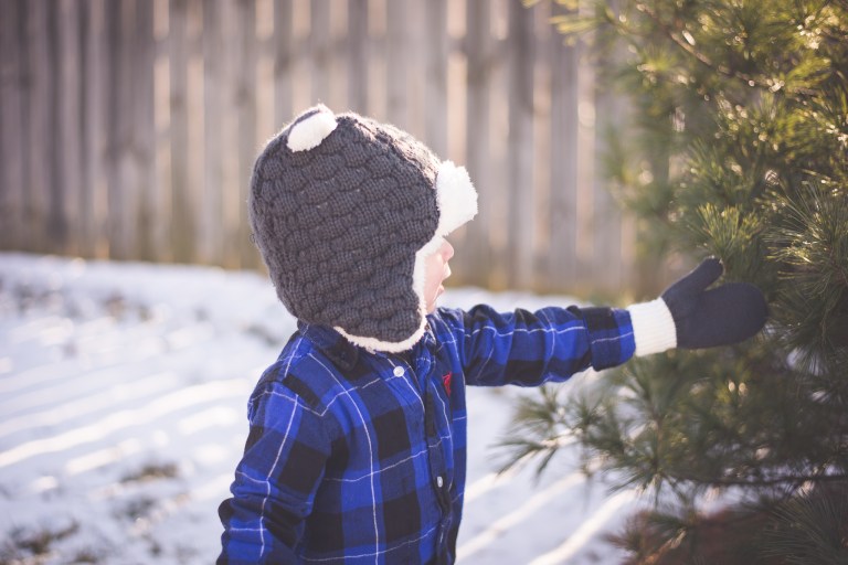 Lumberjack Paul 2015-1064