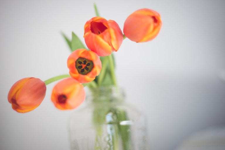 Lumberjack Paul 2015-1122