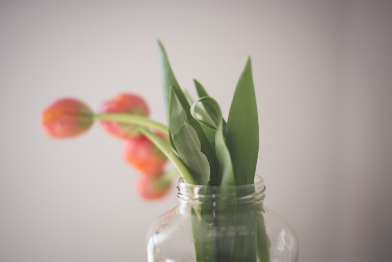 Lumberjack Paul 2015-1136