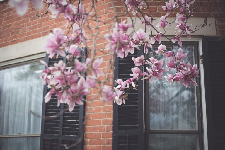 Paul and Stephen Spring 2015 and blooms-4323