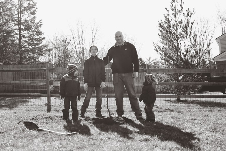 Trees and Eggs 2015-3311