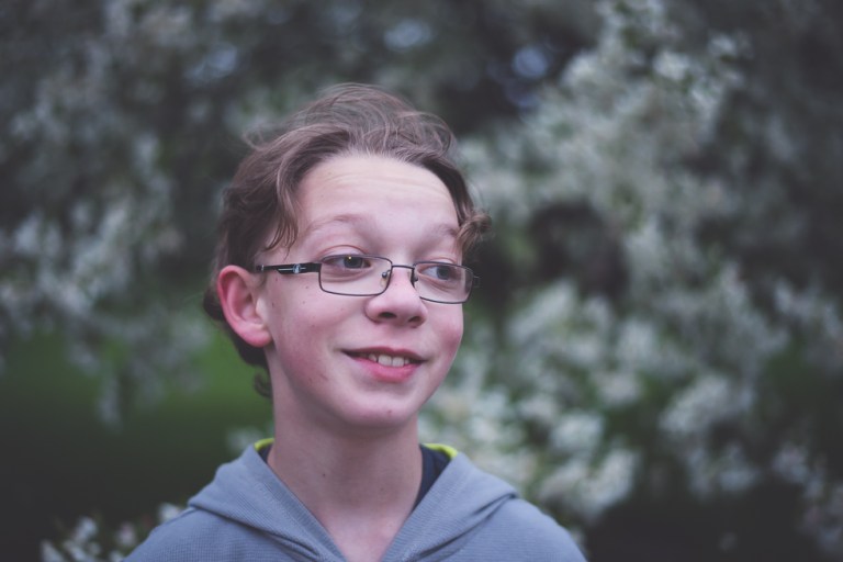 crab apple tree 2015-4627-2