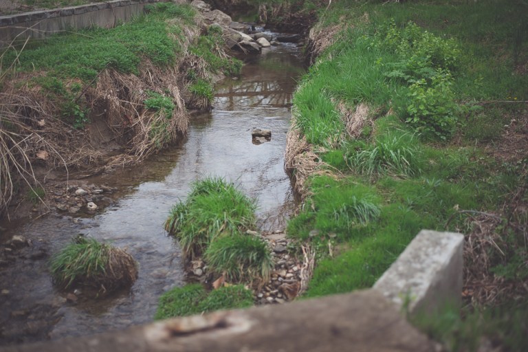 Paul and Stephen Spring 2015 and blooms-3902