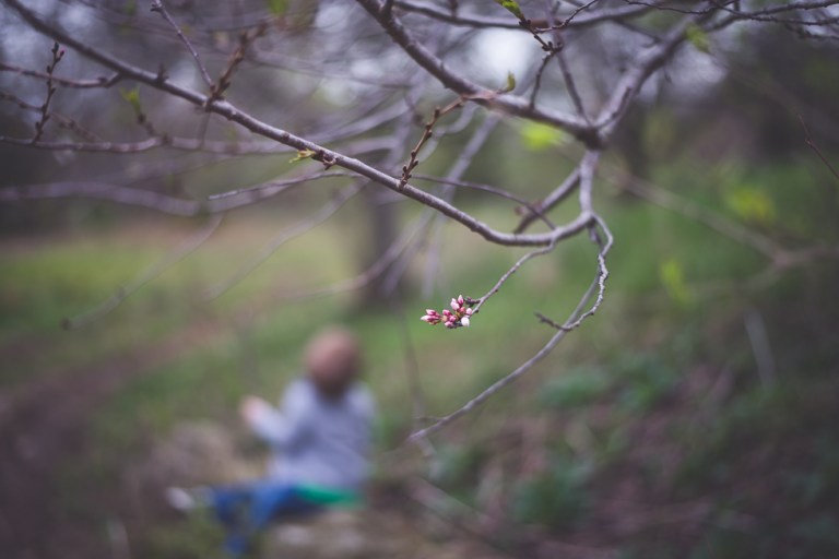 Paul and Stephen Spring 2015 and blooms-4021