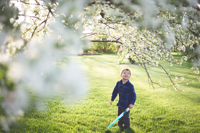 crab apple tree and dandelions-4878