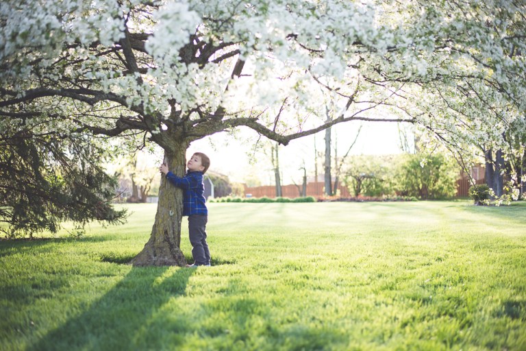crab apple tree and dandelions-4921