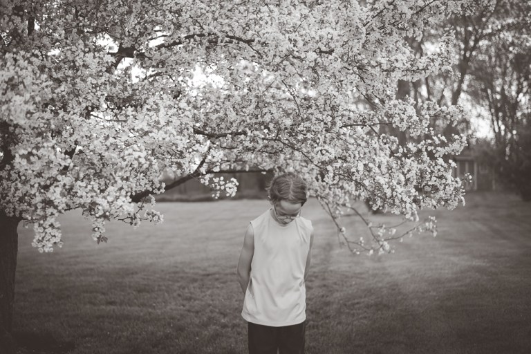 crab apple tree and dandelions-4966