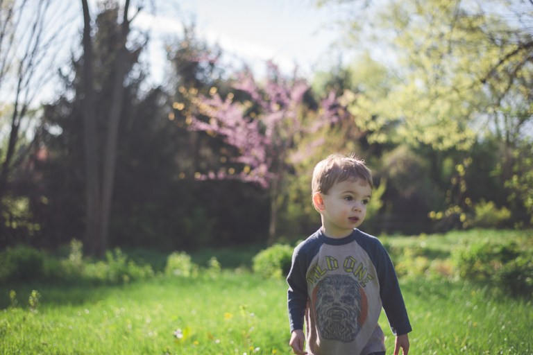 crab apple tree and dandelions-5139