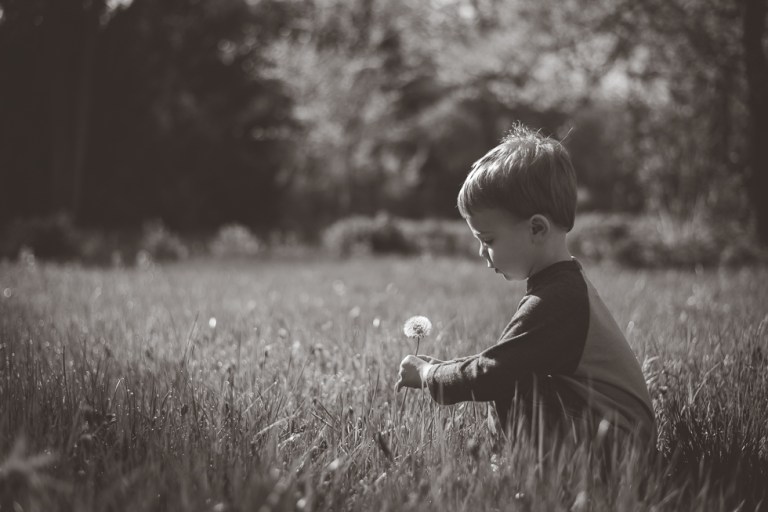 crab apple tree and dandelions-5164