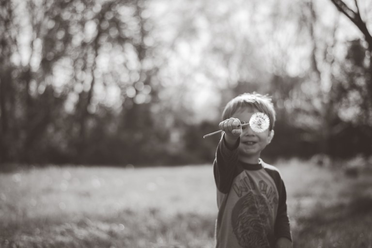 crab apple tree and dandelions-5178