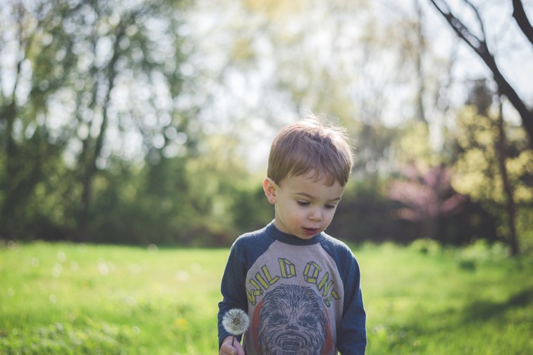 crab apple tree and dandelions-5181