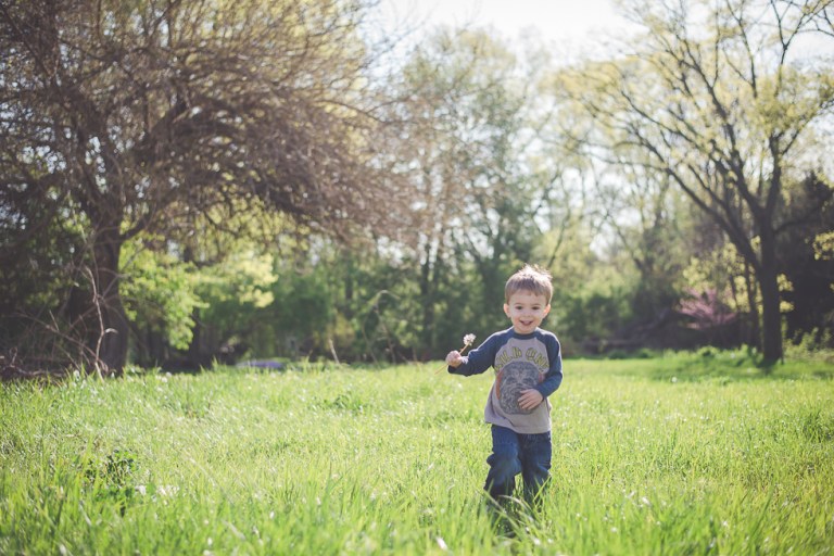 crab apple tree and dandelions-5187