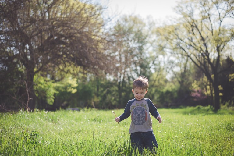 crab apple tree and dandelions-5189