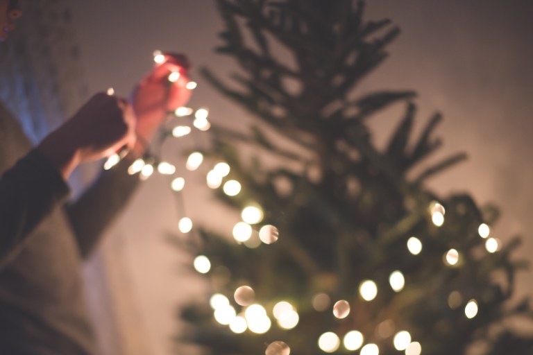 free lens fun january 2018-0758